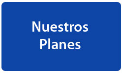 Banner de Ballenas